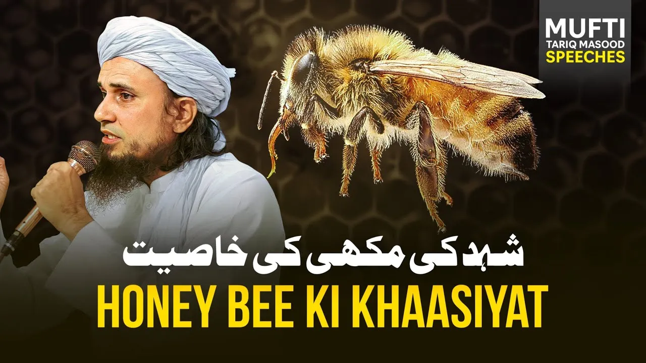 Honey Bee Mai Kya khasiyat Hai | Mufti Tariq Masood Speeches
